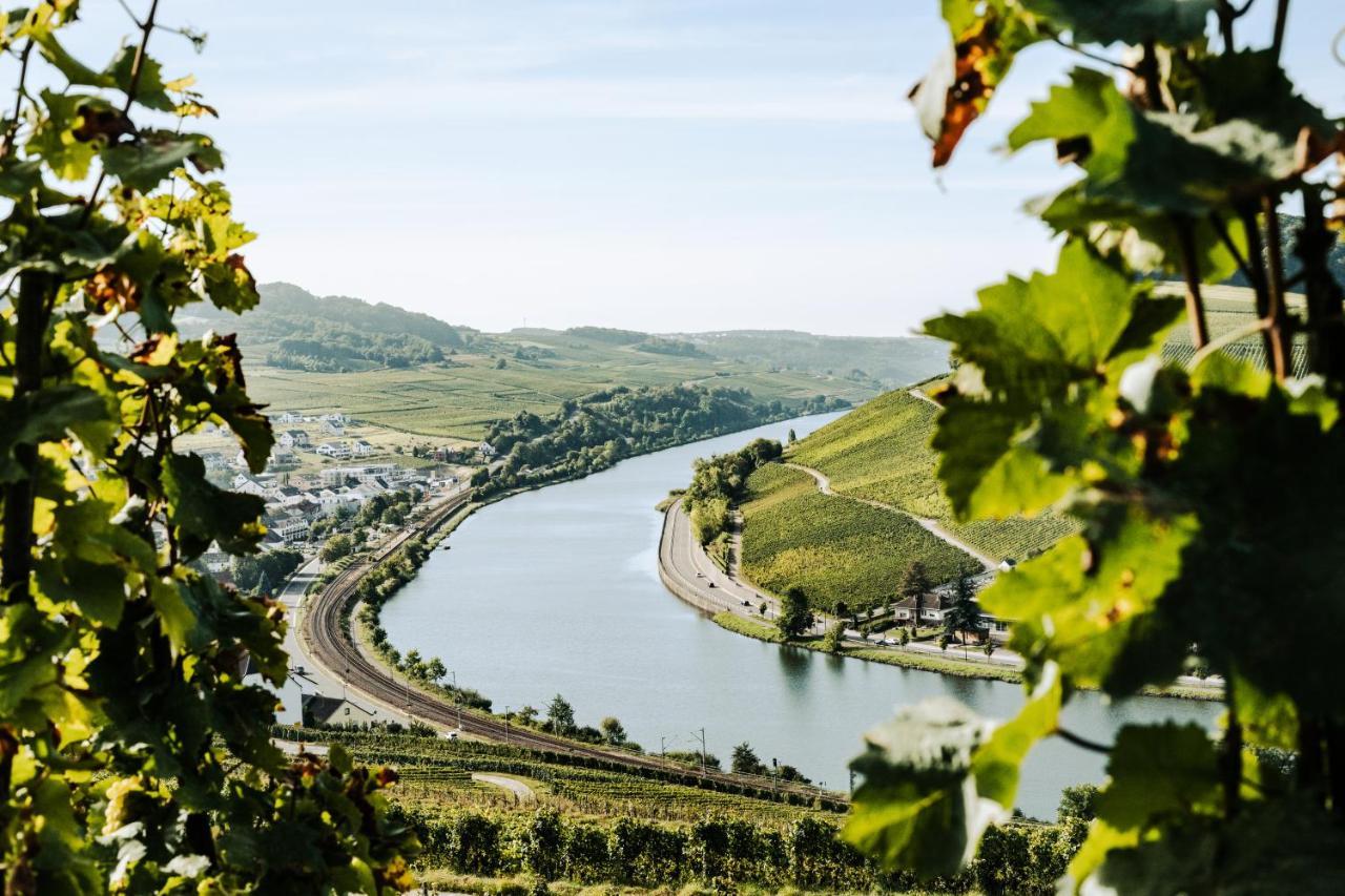 Hotel Weingut Und Gaestehaus Apel à Nittel Extérieur photo