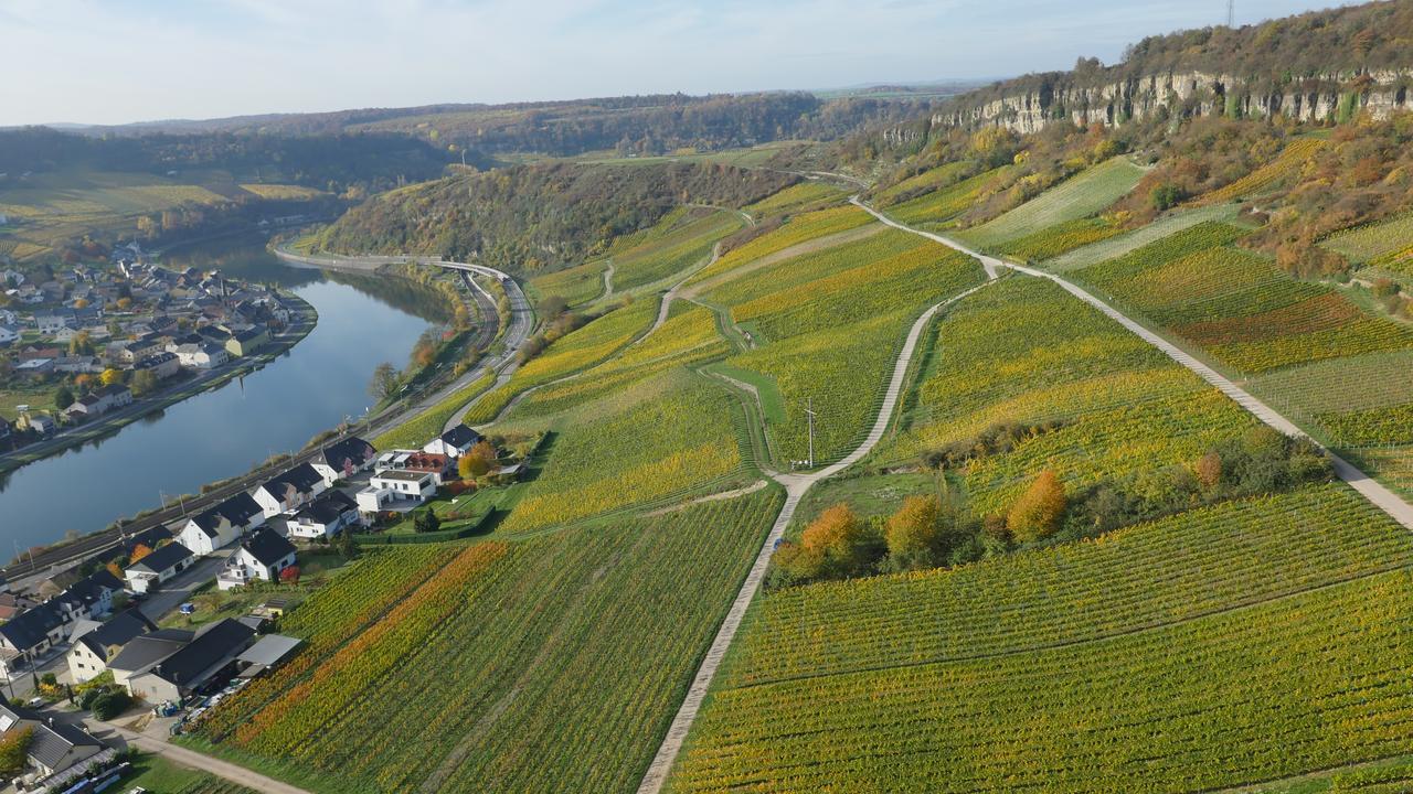 Hotel Weingut Und Gaestehaus Apel à Nittel Extérieur photo