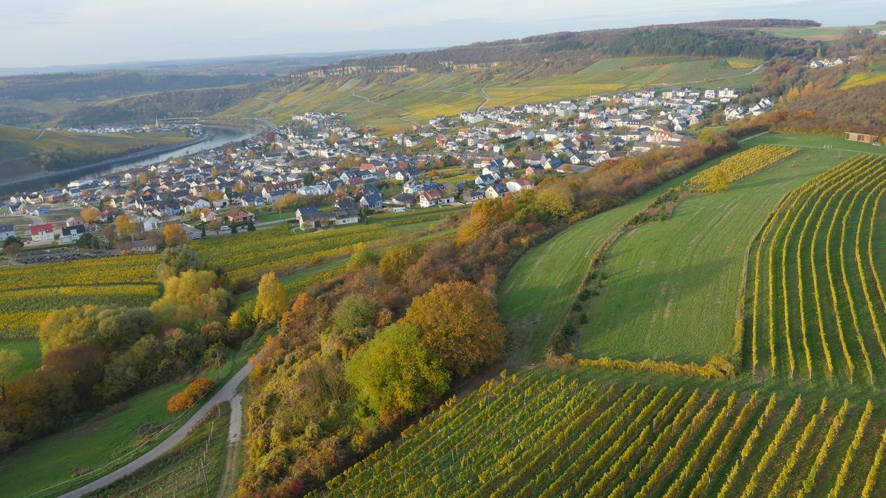 Hotel Weingut Und Gaestehaus Apel à Nittel Extérieur photo